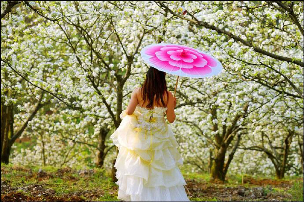 【春天，广西桂林灌阳县向您发出邀请！】我们在灌阳看梨花 - 游山玩水 - 山南生活社区 - 山南28生活网 sn.28life.com