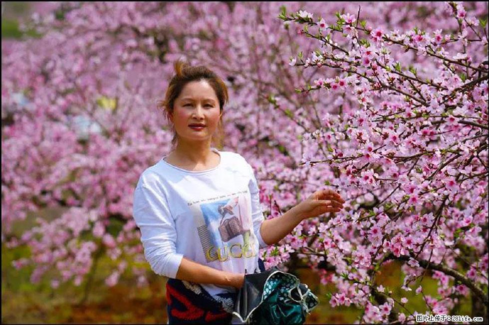 【春天，广西桂林灌阳县向您发出邀请！】官庄村有个醉美的桃花园 - 游山玩水 - 山南生活社区 - 山南28生活网 sn.28life.com
