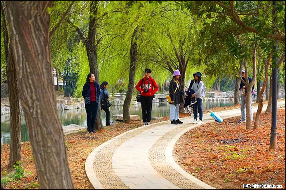 【春天，广西桂林灌阳县向您发出邀请！】江口老街又逢春 - 游山玩水 - 山南生活社区 - 山南28生活网 sn.28life.com