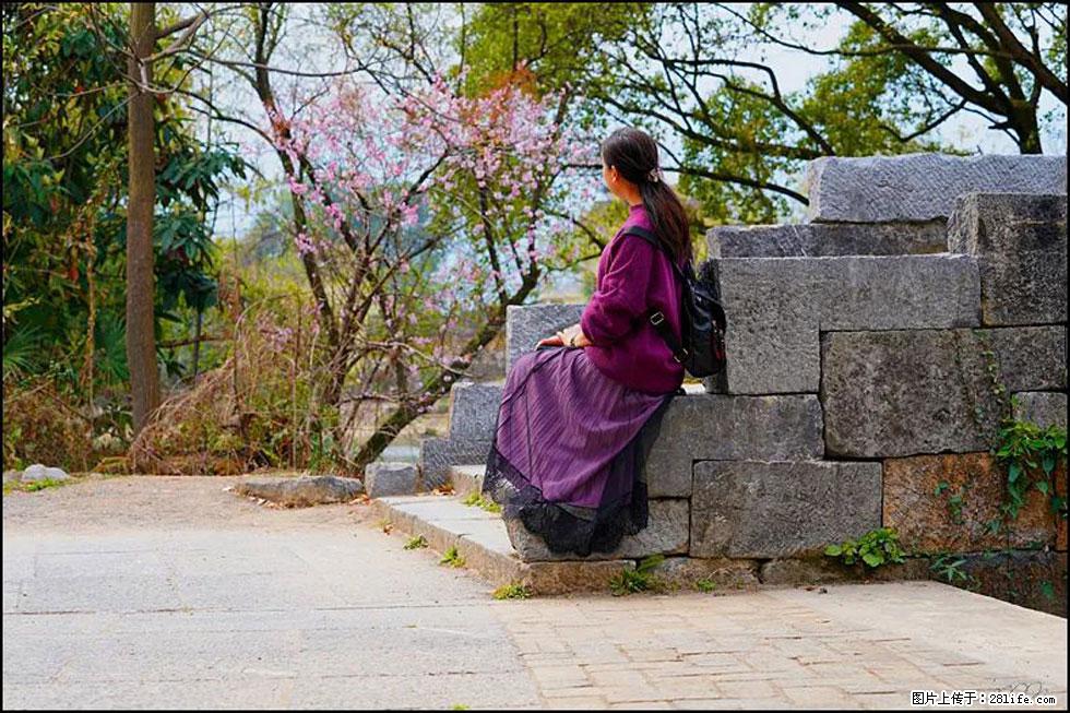 【春天，广西桂林灌阳县向您发出邀请！】江口老街又逢春 - 游山玩水 - 山南生活社区 - 山南28生活网 sn.28life.com