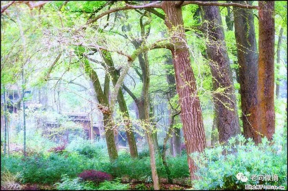 【春天，广西桂林灌阳县向您发出邀请！】在小龙村与春天约会 - 游山玩水 - 山南生活社区 - 山南28生活网 sn.28life.com