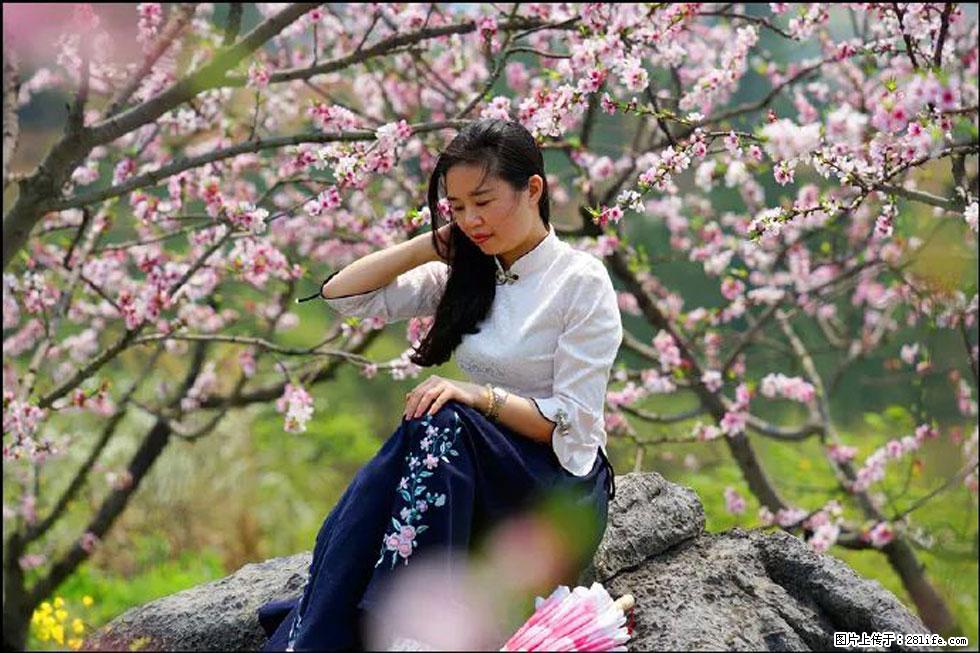 【春天，广西桂林灌阳县向您发出邀请！】望月岭上桃花开 - 游山玩水 - 山南生活社区 - 山南28生活网 sn.28life.com