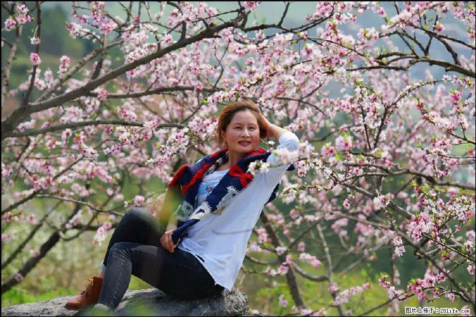 【春天，广西桂林灌阳县向您发出邀请！】望月岭上桃花开 - 游山玩水 - 山南生活社区 - 山南28生活网 sn.28life.com