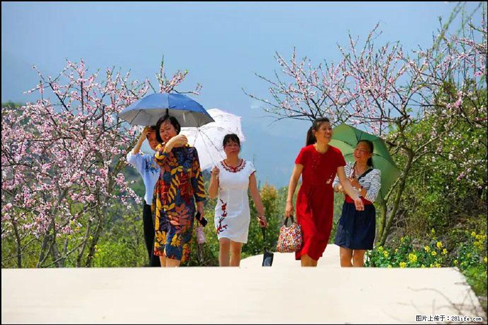 【春天，广西桂林灌阳县向您发出邀请！】望月岭上桃花开 - 游山玩水 - 山南生活社区 - 山南28生活网 sn.28life.com