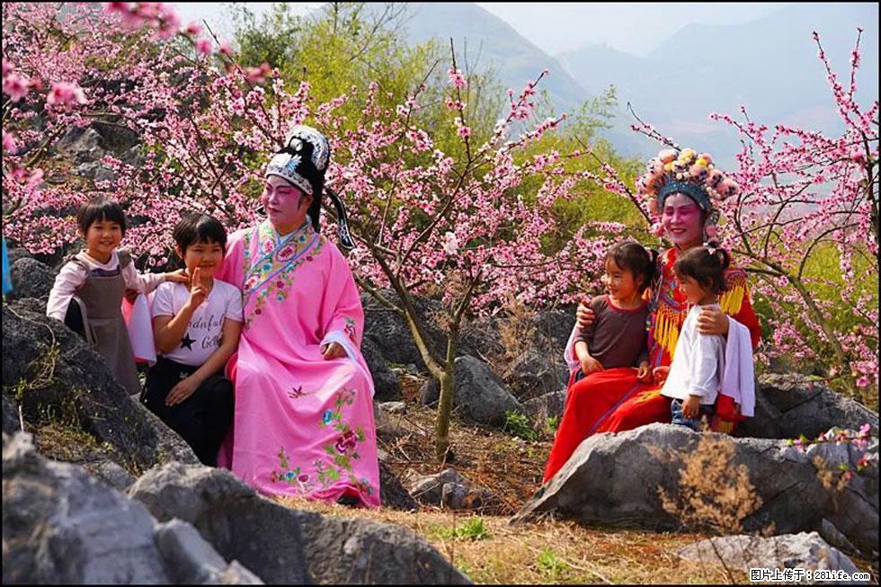 【春天，广西桂林灌阳县向您发出邀请！】望月岭上桃花开 - 游山玩水 - 山南生活社区 - 山南28生活网 sn.28life.com