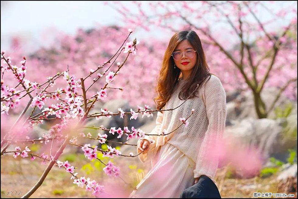 【春天，广西桂林灌阳县向您发出邀请！】望月岭上桃花开 - 游山玩水 - 山南生活社区 - 山南28生活网 sn.28life.com