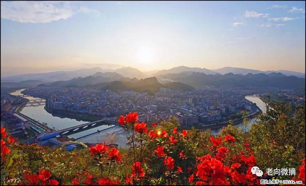 【春天，广西桂林灌阳县向您发出邀请！】登麒麟山，相约映山红 - 游山玩水 - 山南生活社区 - 山南28生活网 sn.28life.com