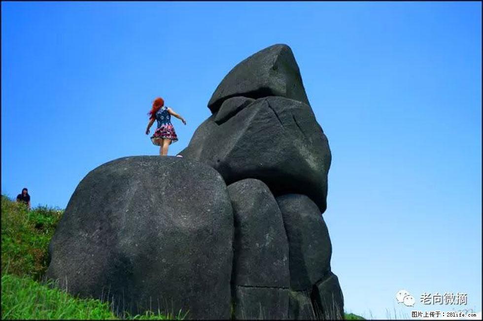 【春天，广西桂林灌阳县向您发出邀请！】宝盖山上映山红 - 游山玩水 - 山南生活社区 - 山南28生活网 sn.28life.com