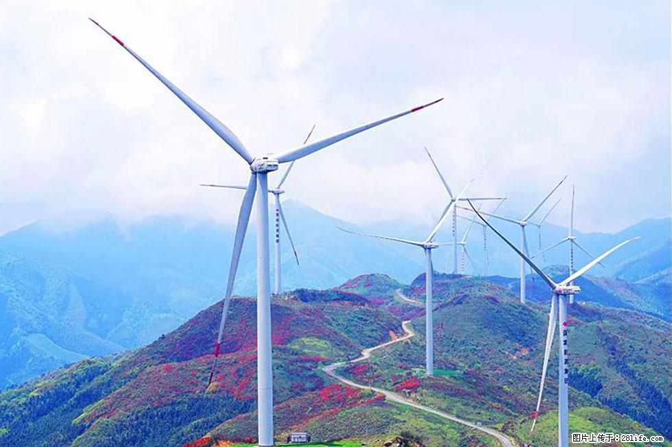 【春天，广西桂林灌阳县向您发出邀请！】春木界上映山红 - 游山玩水 - 山南生活社区 - 山南28生活网 sn.28life.com