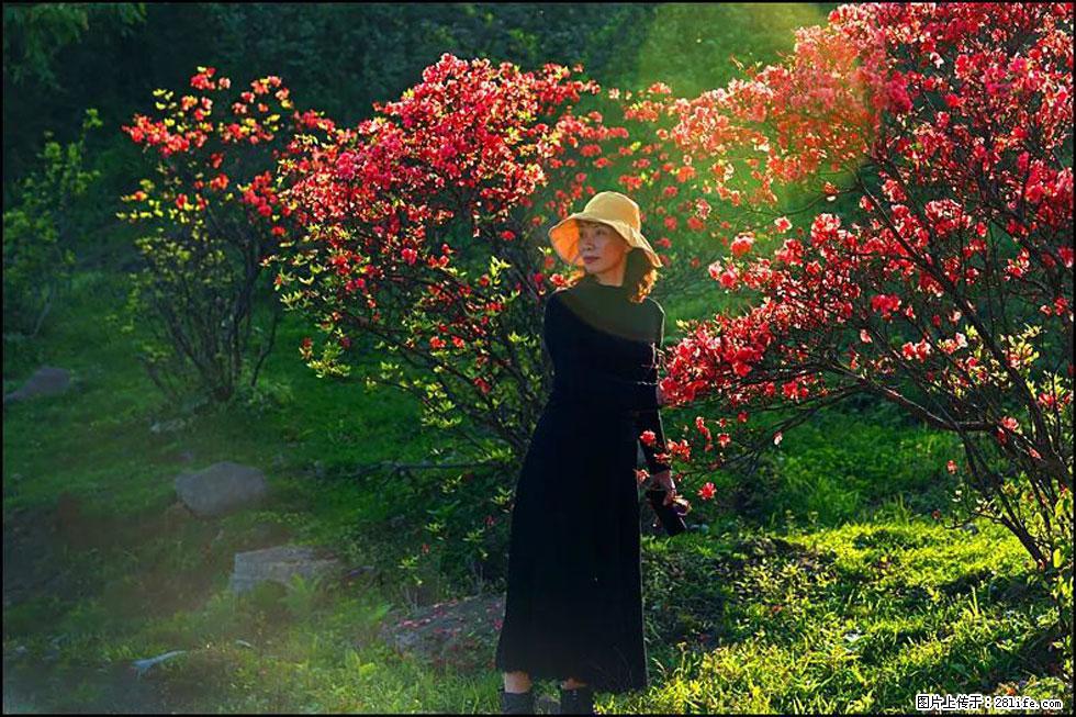 【春天，广西桂林灌阳县向您发出邀请！】春木界上映山红 - 游山玩水 - 山南生活社区 - 山南28生活网 sn.28life.com