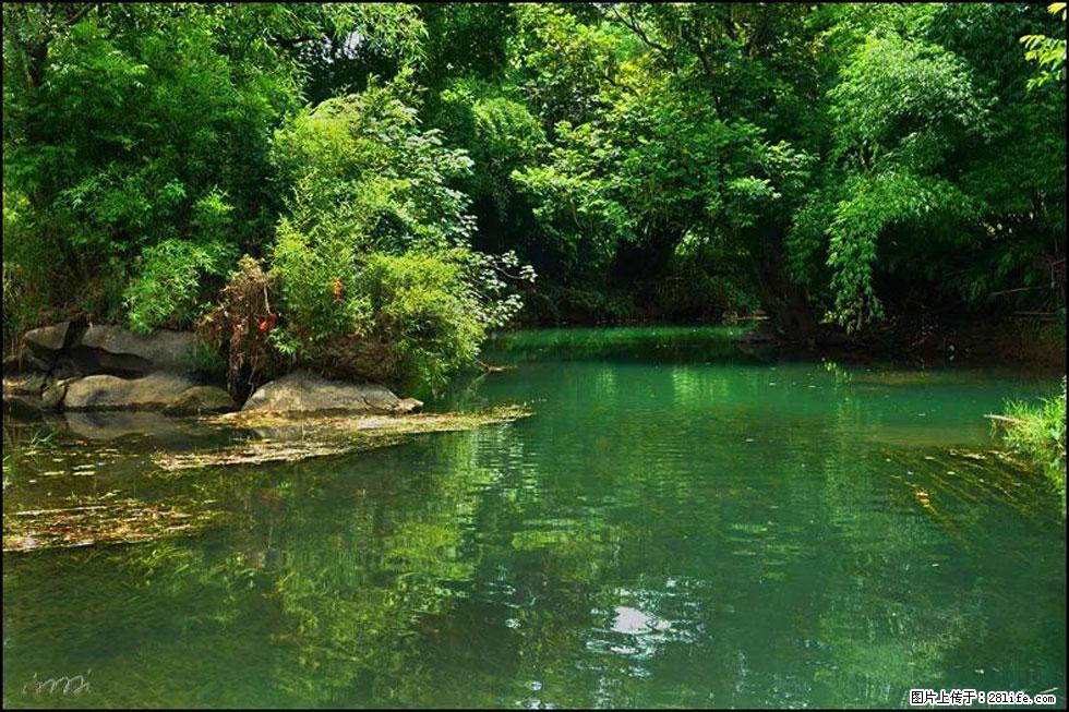 【春天,广西桂林灌阳县向您发出邀请!】如梦似幻莲溪庐 - 游山玩水 - 山南生活社区 - 山南28生活网 sn.28life.com