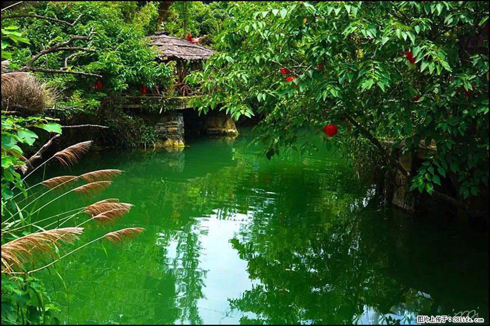 【春天,广西桂林灌阳县向您发出邀请!】如梦似幻莲溪庐 - 游山玩水 - 山南生活社区 - 山南28生活网 sn.28life.com