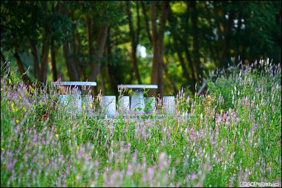 【春天，广西桂林灌阳县向您发出邀请！】熊家寨湿地公园 - 游山玩水 - 山南生活社区 - 山南28生活网 sn.28life.com