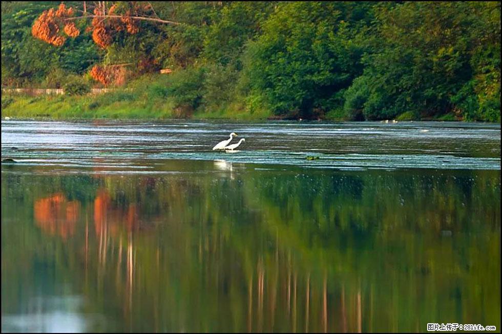 【春天，广西桂林灌阳县向您发出邀请！】熊家寨湿地公园 - 游山玩水 - 山南生活社区 - 山南28生活网 sn.28life.com