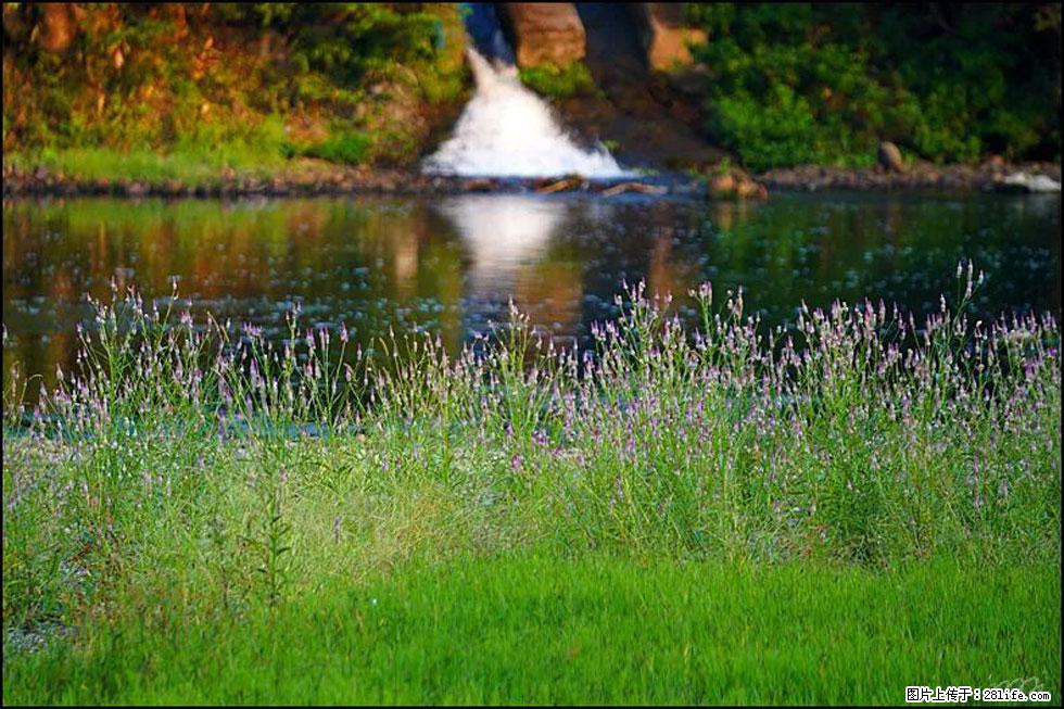 【春天，广西桂林灌阳县向您发出邀请！】熊家寨湿地公园 - 游山玩水 - 山南生活社区 - 山南28生活网 sn.28life.com