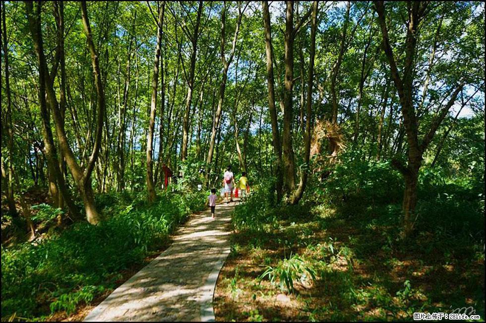 【春天，广西桂林灌阳县向您发出邀请！】熊家寨湿地公园 - 游山玩水 - 山南生活社区 - 山南28生活网 sn.28life.com