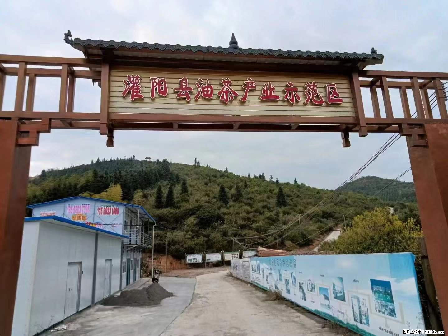 【灌阳县油茶产业示范区】一个有着充实的精神生活的人,对待身外之物自会有一种淡泊的态度 - 土特产 - 饮食特产 - 山南分类信息 - 山南28生活网 sn.28life.com