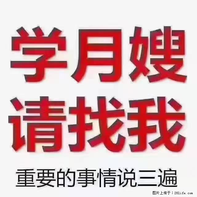 【招聘】月嫂，上海徐汇区 - 职场交流 - 山南生活社区 - 山南28生活网 sn.28life.com