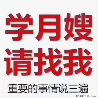 【招聘】月嫂，上海徐汇区 - 山南28生活网 sn.28life.com