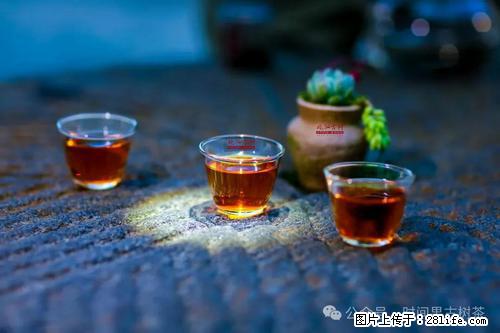 时间果百年古树2025年春红茶 - 购物交流 - 山南生活社区 - 山南28生活网 sn.28life.com