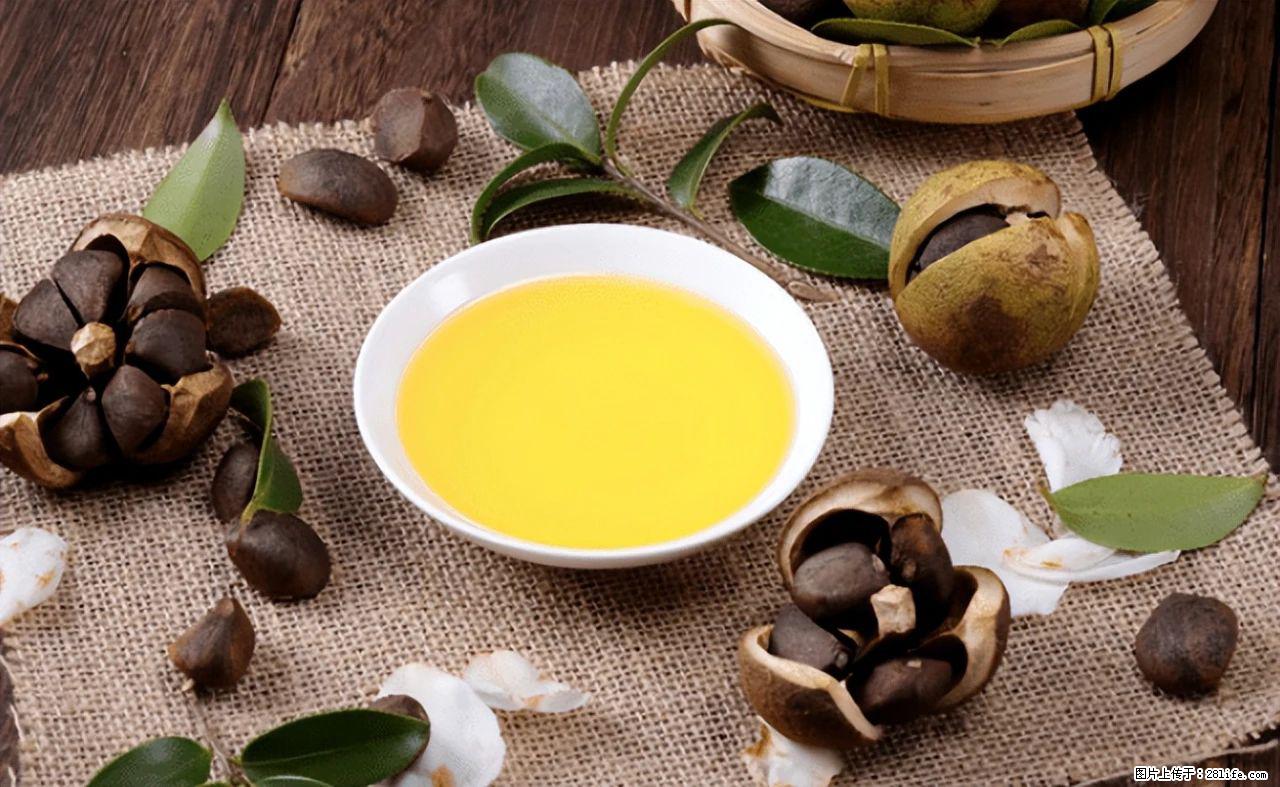 揭秘茶油的5大核心营养成分！被称为人体健康的“守护盾”！ - 山南生活资讯 - 山南28生活网 sn.28life.com