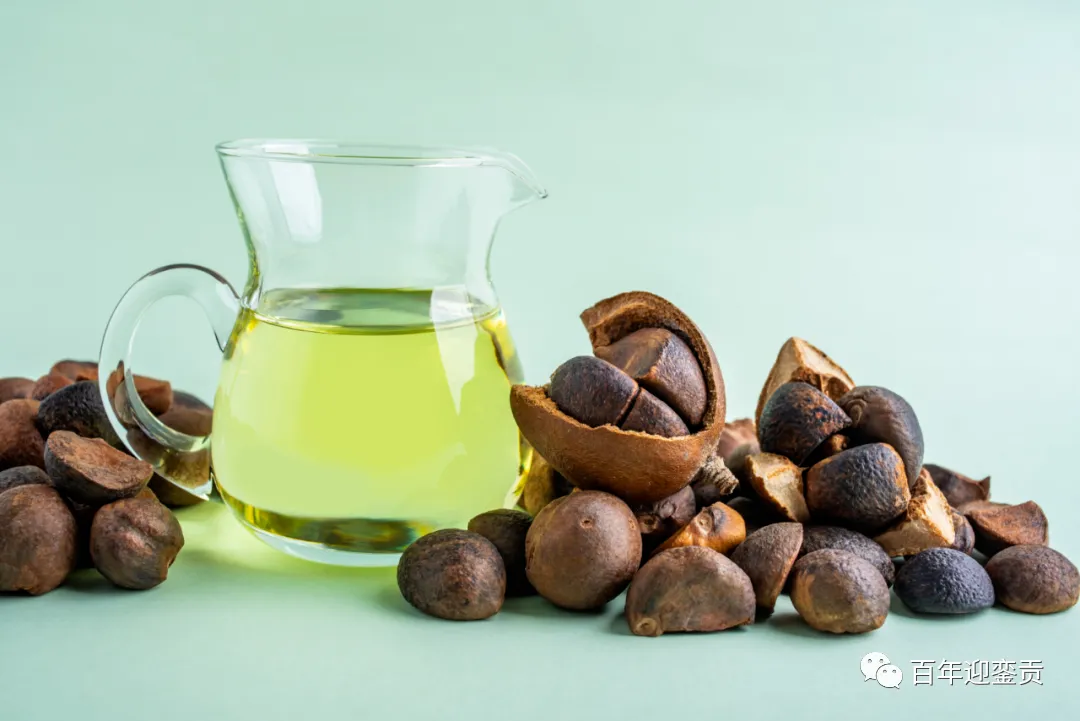 世界没有真相，只有认知，最好的食用油是中国的山茶油！ - 山南生活资讯 - 山南28生活网 sn.28life.com