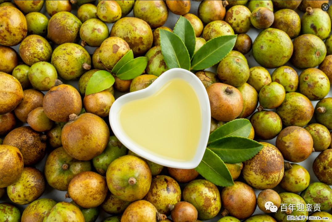 世界没有真相，只有认知，最好的食用油是中国的山茶油！ - 山南生活资讯 - 山南28生活网 sn.28life.com