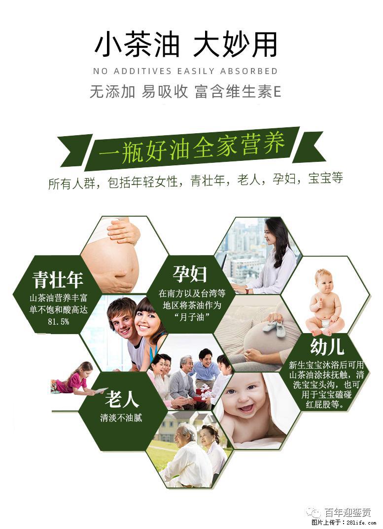 世界没有真相，只有认知，最好的食用油是中国的山茶油！ - 山南生活资讯 - 山南28生活网 sn.28life.com