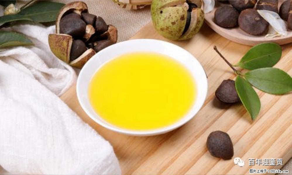 世界没有真相，只有认知，最好的食用油是中国的山茶油！ - 山南生活资讯 - 山南28生活网 sn.28life.com