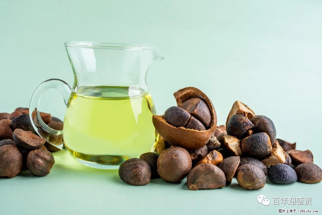 世界没有真相，只有认知，最好的食用油是中国的山茶油！ - 山南生活资讯 - 山南28生活网 sn.28life.com