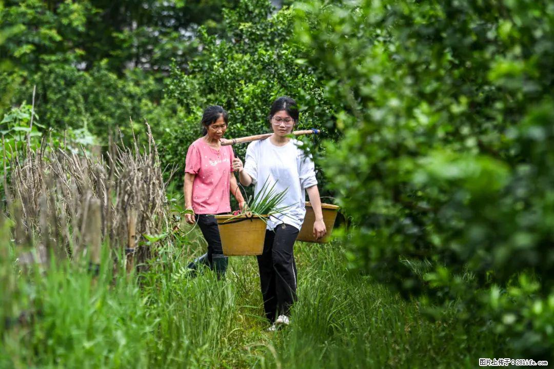 全网追的“扁担女孩”，找了一份暑假工，时薪12元 - 山南生活资讯 - 山南28生活网 sn.28life.com