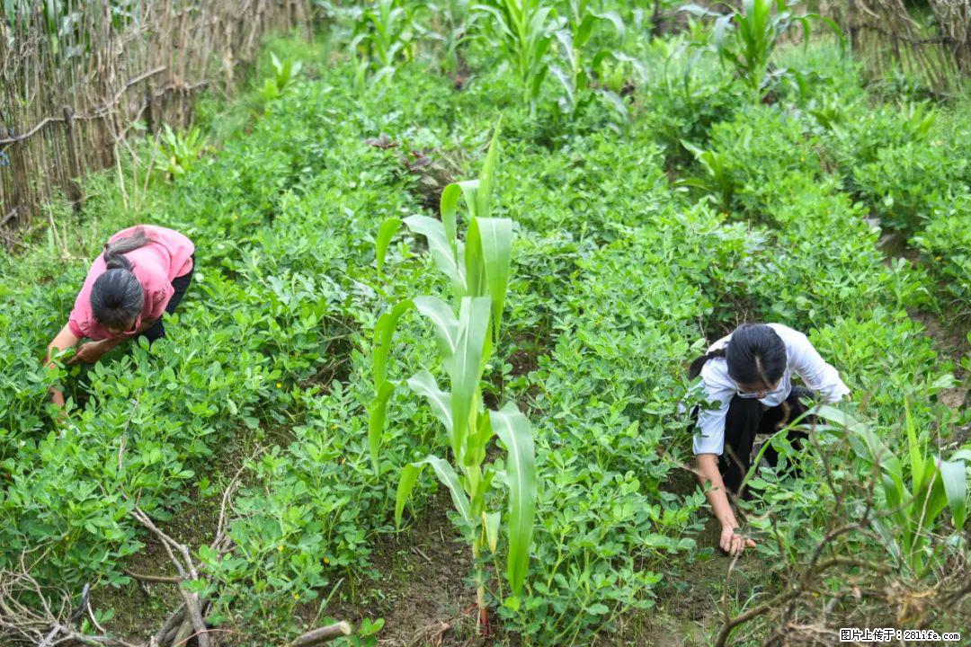 全网追的“扁担女孩”，找了一份暑假工，时薪12元 - 山南生活资讯 - 山南28生活网 sn.28life.com