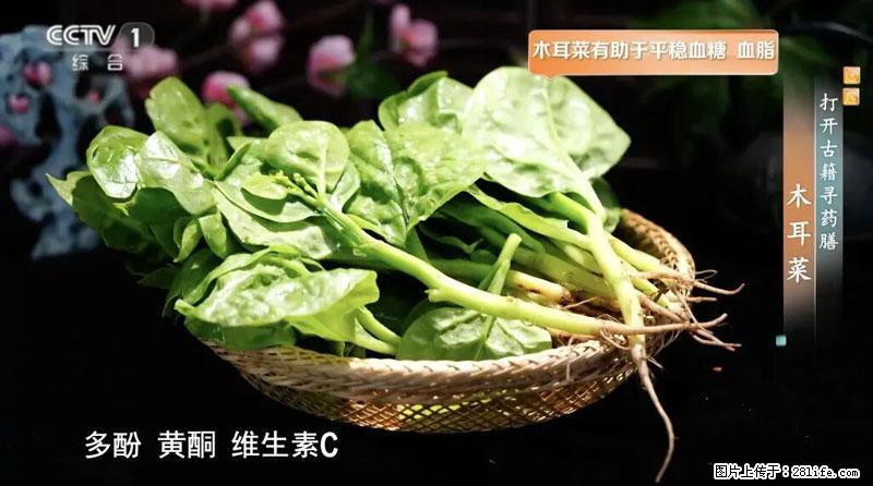 比牛奶补钙还厉害!凉血解毒、稳血糖...这菜冬天必吃,很多人却当草 - 山南生活资讯 - 山南28生活网 sn.28life.com