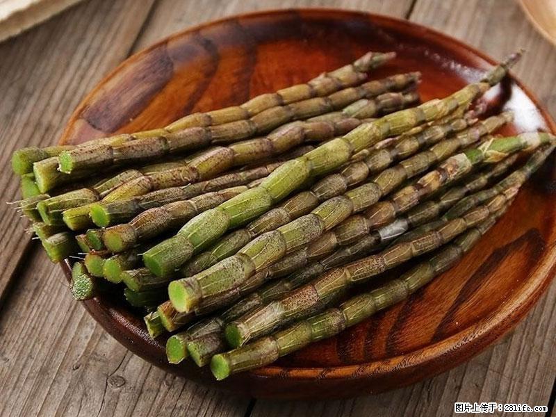 铁皮石斛的作用与功能主治 - 山南生活资讯 - 山南28生活网 sn.28life.com