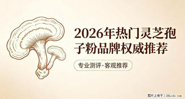 灵芝孢子粉含量越高越有效？2026 年七款热门品牌深度实测，肠胃敏感者避坑指南 - 山南生活资讯 - 山南28生活网 sn.28life.com